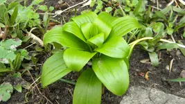 DSCN2033.webp