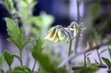 IMG_0949_bearbeitet-1.webp