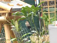 014.webp