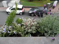 SAM_0651.webp