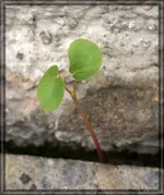 comp_DSC01151.webp