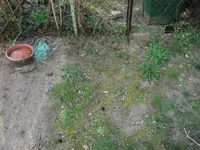 FB Platz vorher.webp