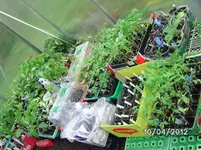 BILD0056.webp