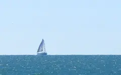 Copy of IMG_2382v a.webp