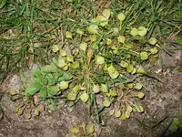 DSCF5116.webp
