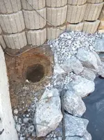 DSCF2464.webp