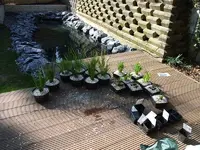 DSCF2495.webp