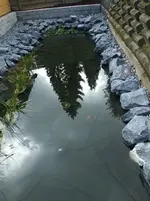 DSCF2635.webp