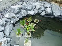 DSCF2645.webp