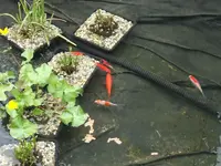DSCF2646.webp