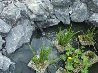 DSCF2677.webp