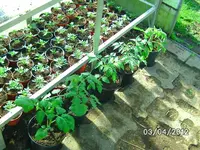 BILD0699.webp