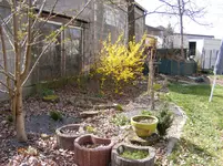 DSCF1009.webp
