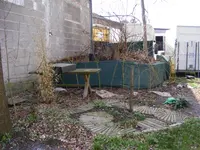 DSCF1010.webp