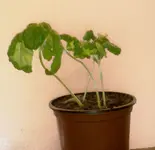 2012-04-12-016_1.webp
