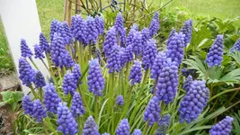 K800_12.April2012 002.webp