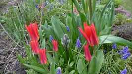 K800_12.April2012 003.webp