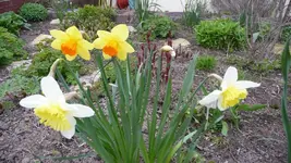 K800_12.April2012 005.webp