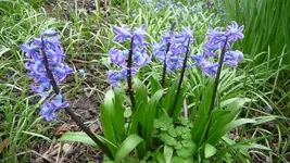 K800_12.April2012 010.webp