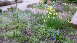 K800_12.April2012 009.webp