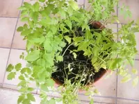 K800_DSCF7426.webp