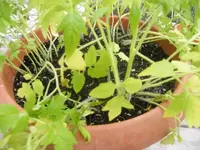 K800_DSCF7430.webp