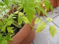 K800_DSCF7431.webp