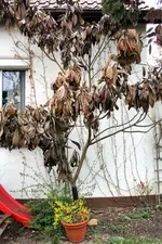 3-IMG_5149.webp