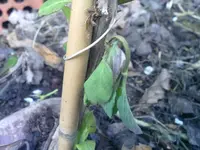 120420121145.webp 120420121145.webp