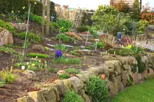 Hangbeet rechte Seite_smaller.webp