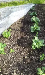 20120411_180009.webp
