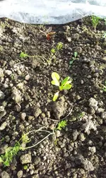 20120411_180049.webp