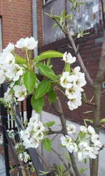 20120411_180252.webp