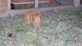 Ernie1_12.webp