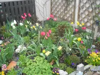 DSCN1300.webp