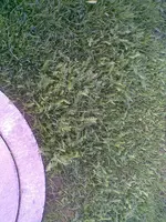 Bild423.webp