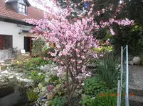 DSCN0021.webp