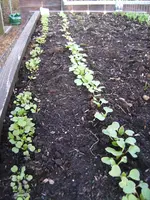 BILD3659.webp