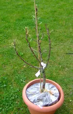 DSCF7568.2.webp