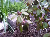BILD3657.webp