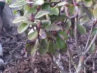 BILD3658.webp