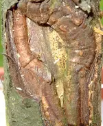 DSCF7576.2.webp