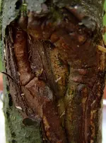 DSCF7582.2.webp