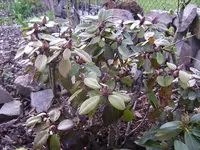 BILD3655.webp
