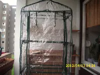 Garten 070.webp