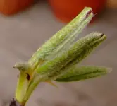 DSCF7566.2.webp