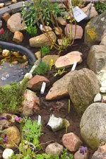 Teichschlucht von oben raufgeschaut_smaller.webp
