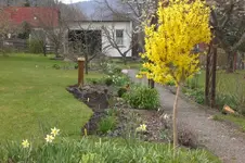 Garten 4 2012 1 001.webp