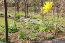Garten 4 2012 1 013.webp