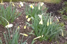 Garten 4 2012 1 020.webp